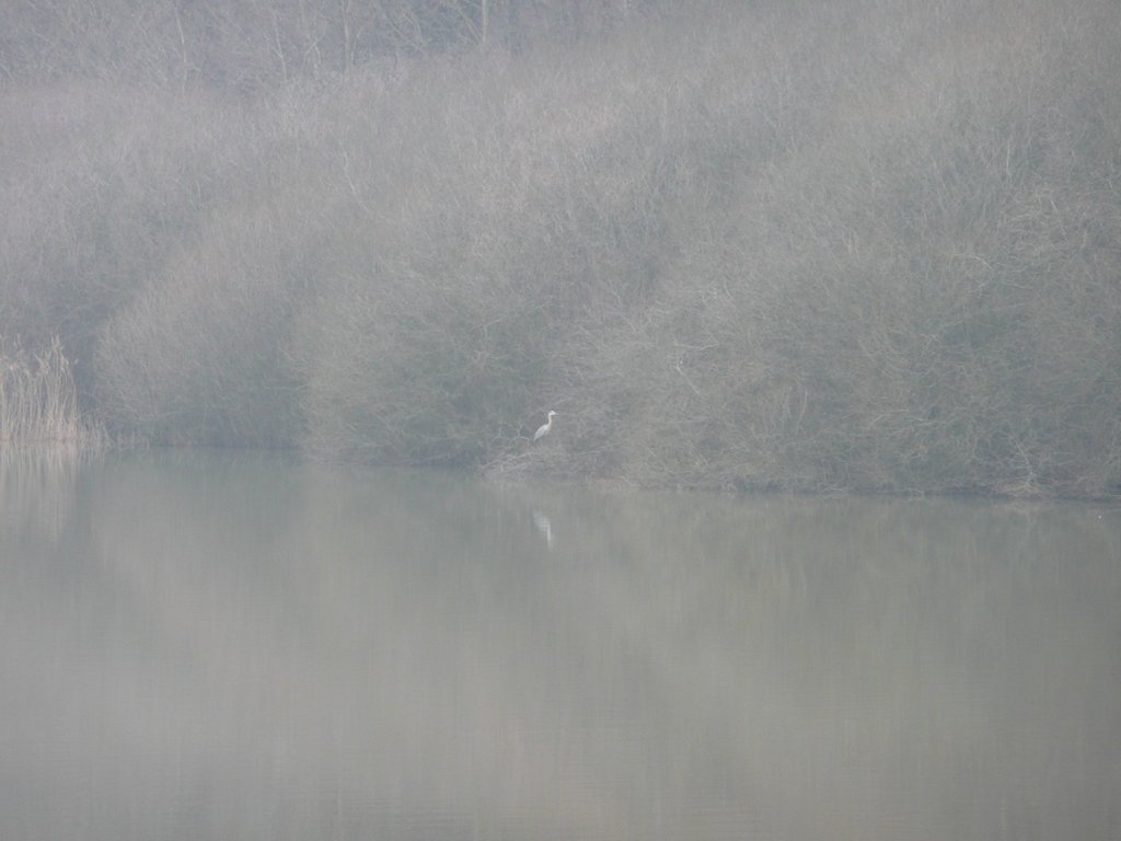 P1280474 [Résolution de l'écran]